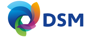 DSM
